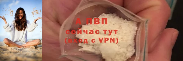 стаф Горняк