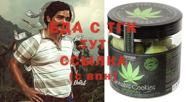 стаф Горняк