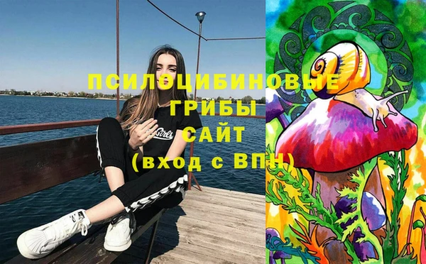 не бодяженный Медногорск