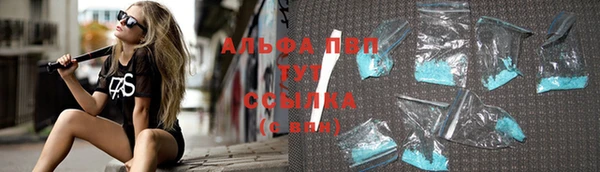 стаф Горняк